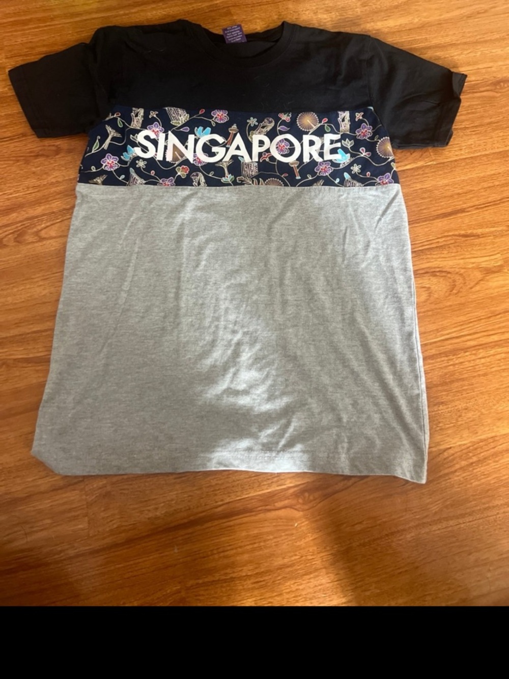Discover Singapore Graphic T-Shirt Size M Black Gray Travel Souvenir